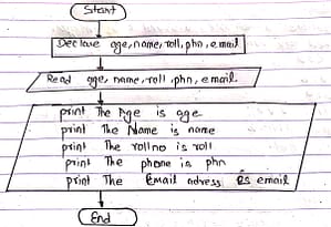 WAP to take information of a student as input and display them suitably. Information includes name, roll no, age, phone number and email address. in flowchart